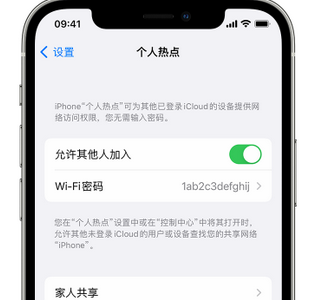 抚州apple服务站点分享iPhone上个人热点丢失了怎么办 