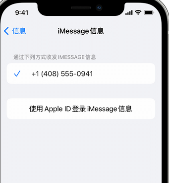 抚州apple维修iPhone上无法正常发送iMessage信息 