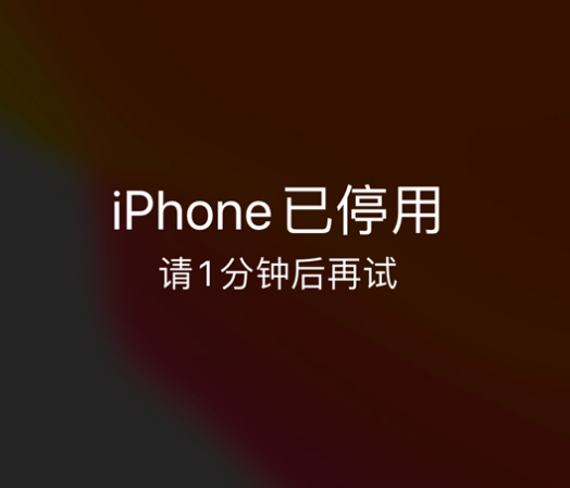 抚州苹果手机维修分享:iPhone 显示“不可用”或“已停用”怎么办？还能保留数据吗？ 