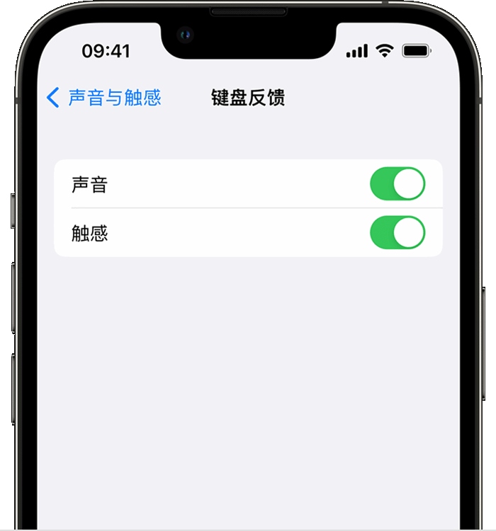 抚州苹果14维修店分享如何在 iPhone 14 机型中使用触感键盘 