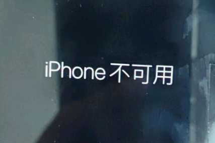 抚州苹果服务网点分享锁屏界面显示“iPhone 不可用”如何解决 