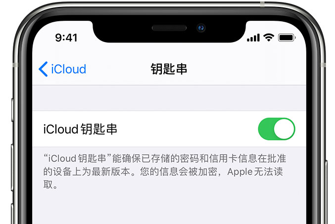 抚州苹果手机维修分享在 iPhone 上开启 iCloud 钥匙串之后会储存哪些信息 