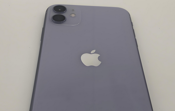 抚州苹果11系统维修分享iPhone11手机系统崩溃无法开机如何解决 